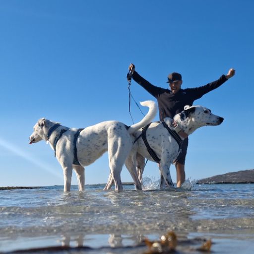 Chris mit seinen Hündinnen Mia und Maya am Strand von Isle of Lewis & Harris in Schottland. Vanlife-Abenteuer mit Hund an weißen Sandstränden und türkisfarbenem Wasser der Äußeren Hebriden.