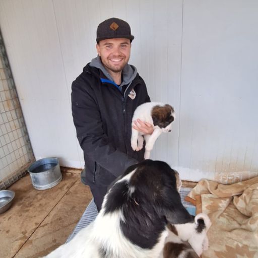 Chris im Tierheim in Griechenland mit geretteten Hunden und Welpen. Aufbau einer autarken Solarstromversorgung für den Tierschutz mit LiFePO4-Batterien, Solaranlage und ehrenamtlicher Hilfe.