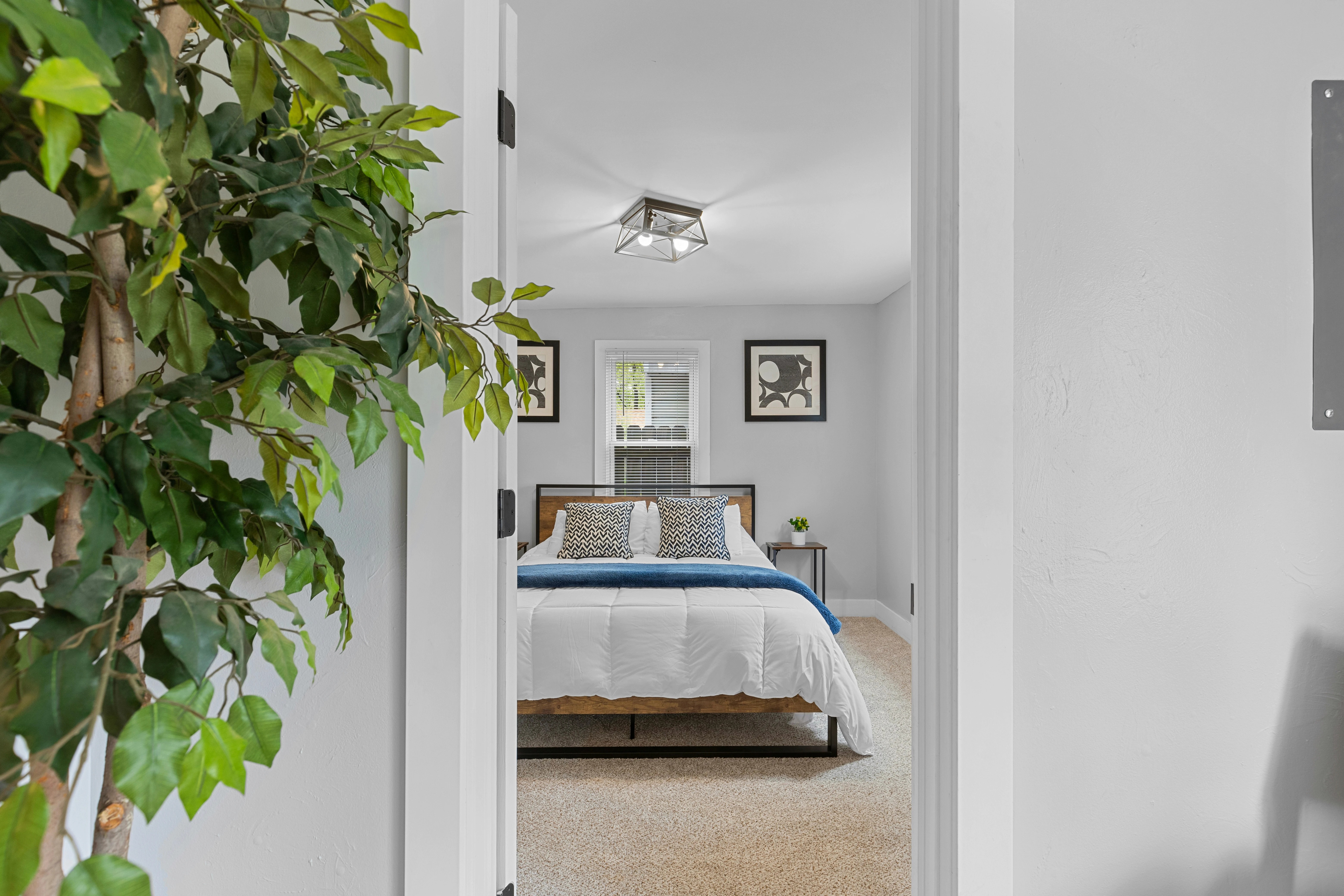 Why Some Gold Coast Airbnb Properties Outperform Others
