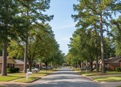 Paintless Dent Repair in Longview, TX