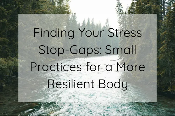stress and resiliency