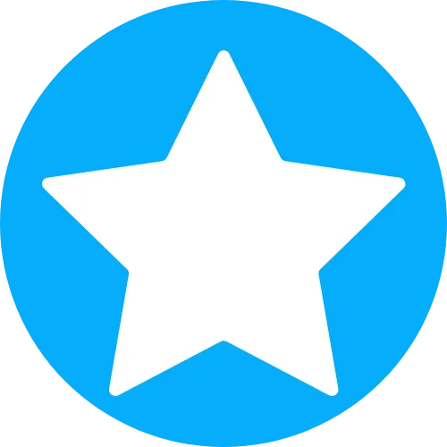 Experienced Team
