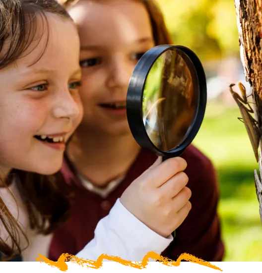 nature-based-outdoor-curriculum-homeschool-curriculum