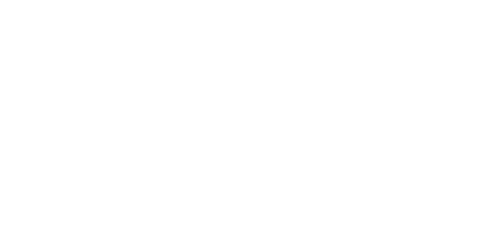 BowTie Charters logo