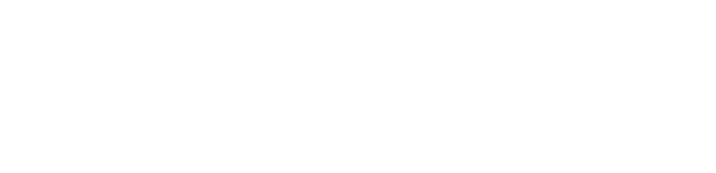 Elevate Insurane Group