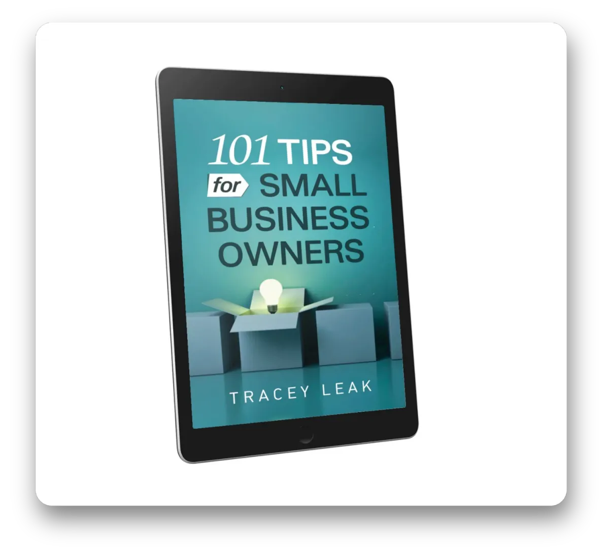 Book cover mockup of '101 Tips for Small Business Owners' best-selling book by Tracey.