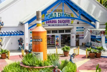 A view of a body of water with mountains in the background