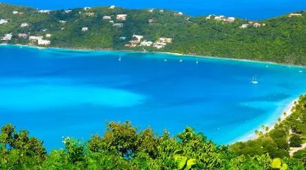 coconut trees and body of water painting