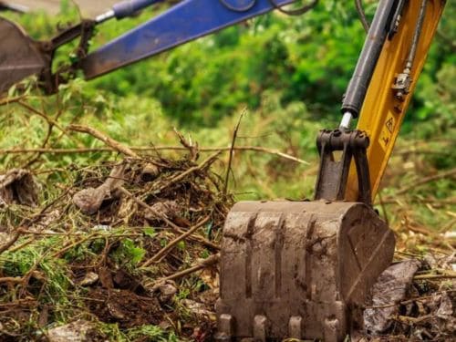 Underbrush Removal in Minnetrista