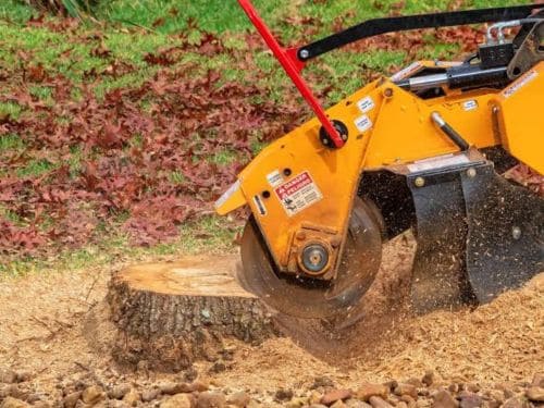Stump Grinding in Minnetrista