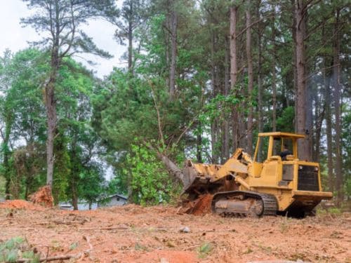 Mound Land Clearing