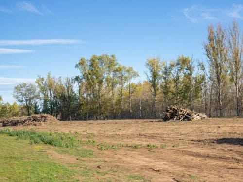 Hunting Property Improvements Minnetrista