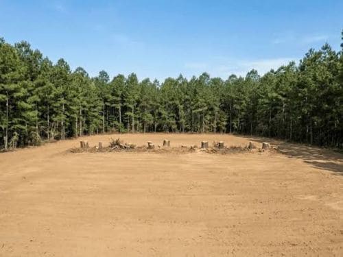  Forestry Mulching