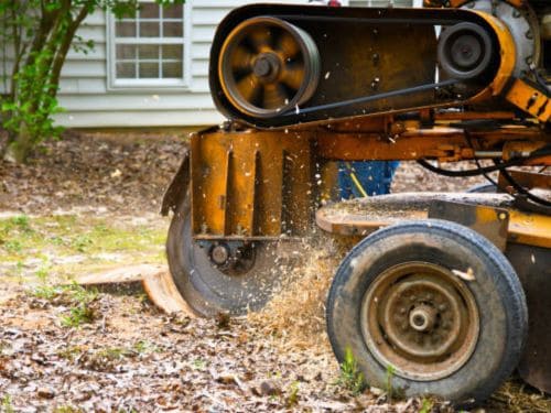  Forestry Mulching