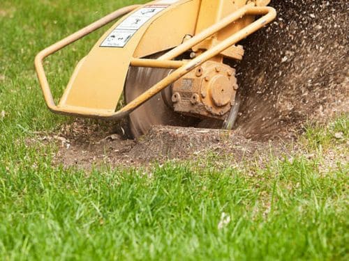 Mound Stump Grinding