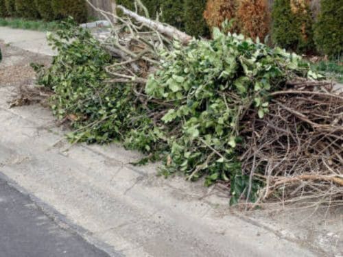 Forestry Mulching