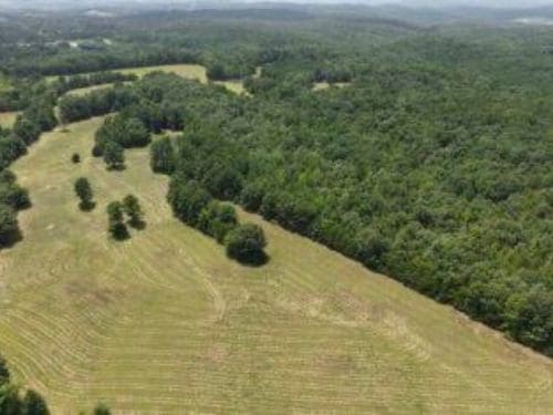 Forestry Mulching