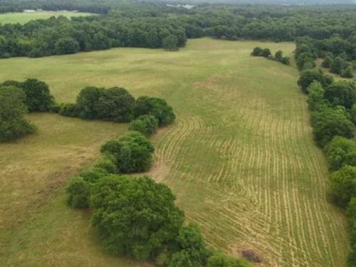 Mound Hunting Property Improvements