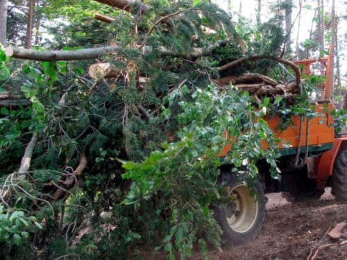 Forestry Mulching