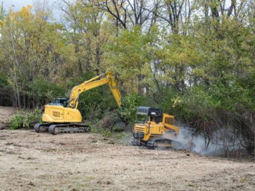 Mound Underbrush Removal