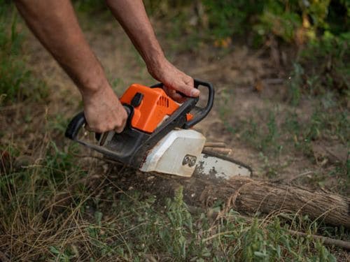 Forestry Mulching