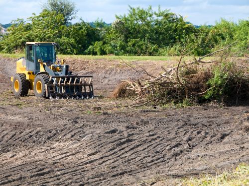 Stump Grinding Minnetrista