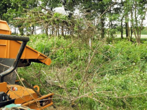 Brush Clearing Minnetrista