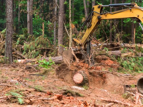 Land Clearing Minnetrista