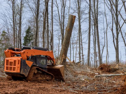 Land Clearing Minnetrista