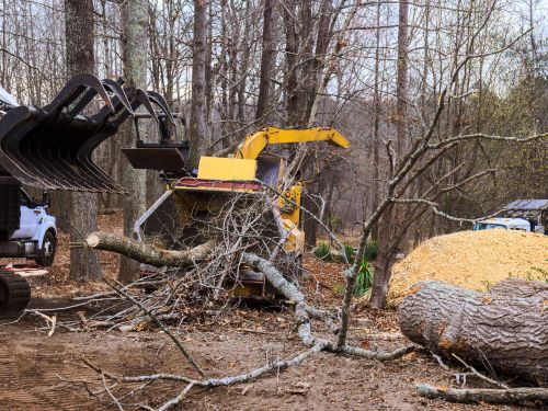 Forestry Mulching Minnetrista