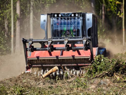 Stump Grinding Minnetrista