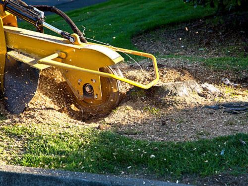 Stump Grinding 