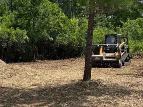 Brush Clearing Minnetrista