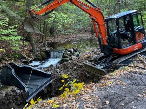 Brush Clearing Minnetrista