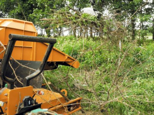 Forestry Mulching Minnetrista