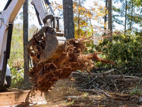 Forestry Mulching Minnetrista