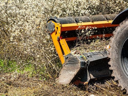 Independence Forestry Mulching