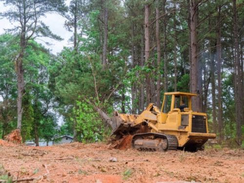 Independence Land Clearing