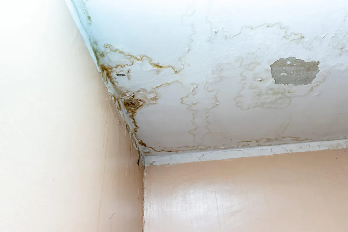 “Ceiling with visible water stains and peeling paint caused by a roof leak, indicating water intrusion from above.”