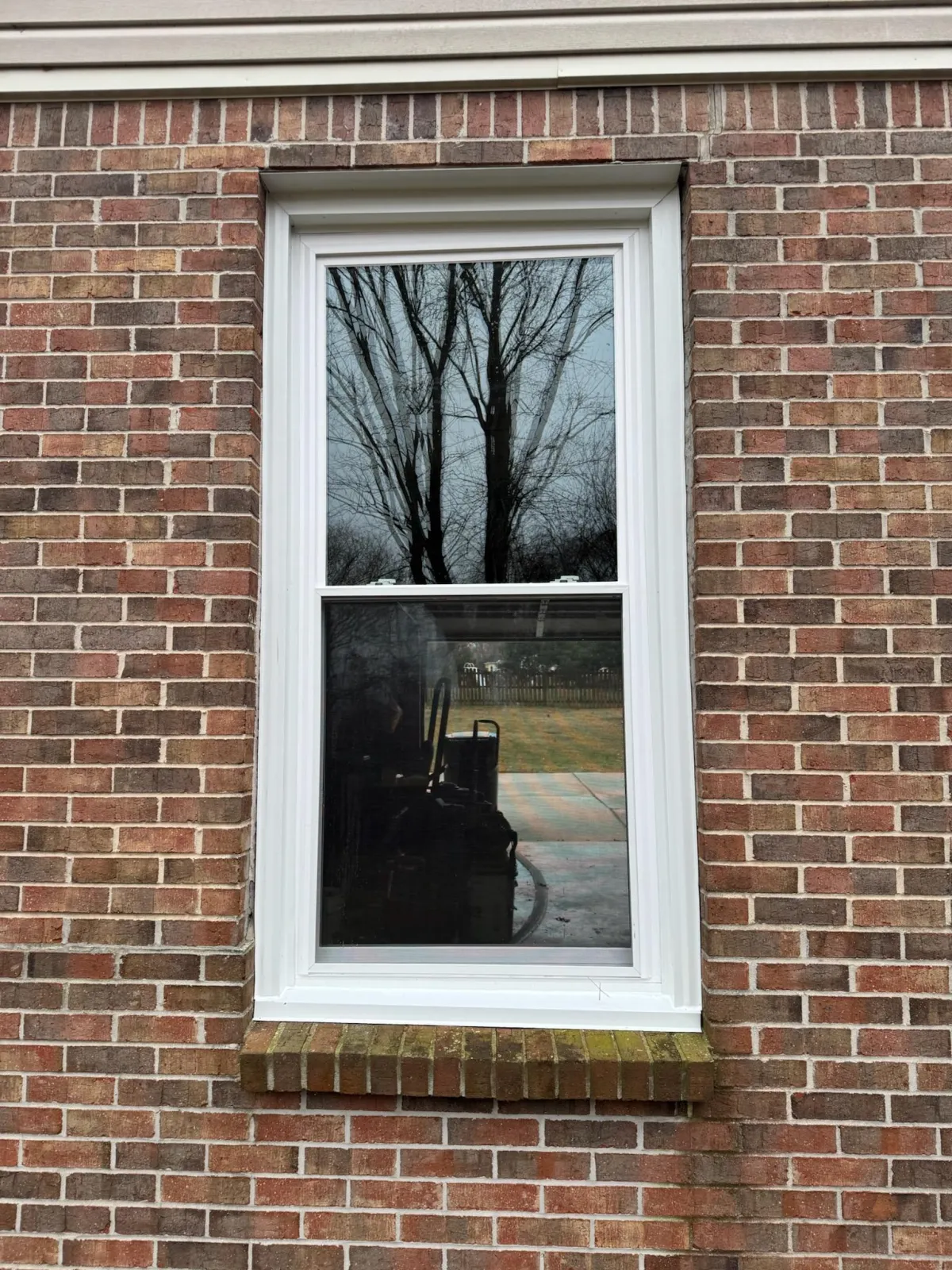 Window