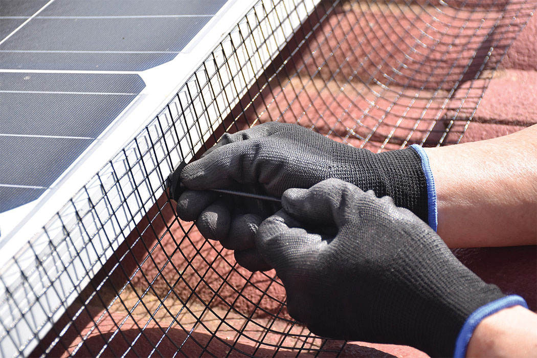 Solar Panel Bird Barrier Install in Hemet