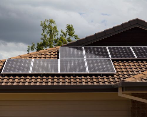 San Jacinto Solar Panel Bird Barrier Install