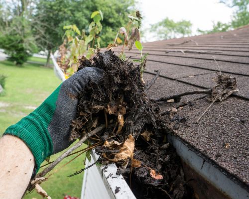 San Jacinto Gutter Cleaning