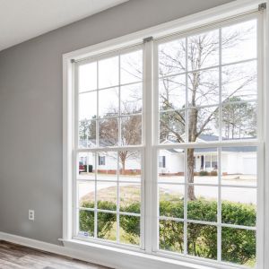 solar panel cleaning Hemet