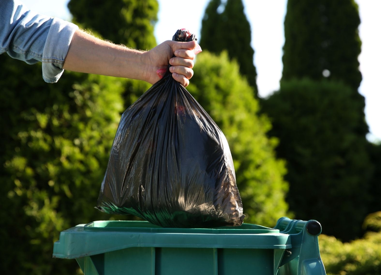Hemet Gutter Cleaning