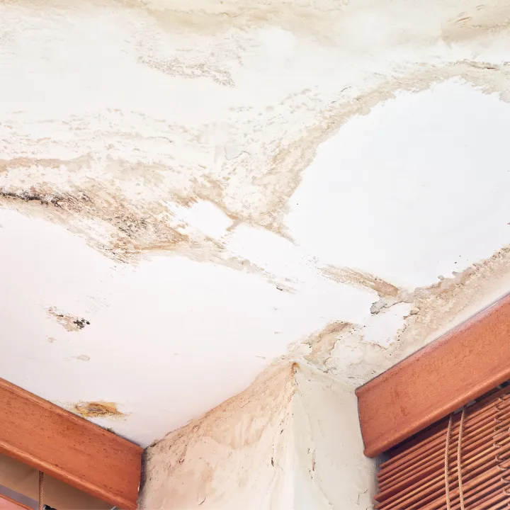 water-damage-palm-coast-fl-101010