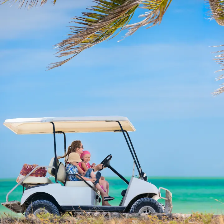 Golf cart battery near Palm Coast, FL