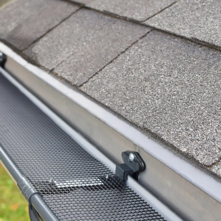 Gutter Cleaning