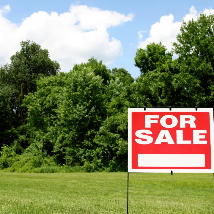 land for sale in Palm Coast 