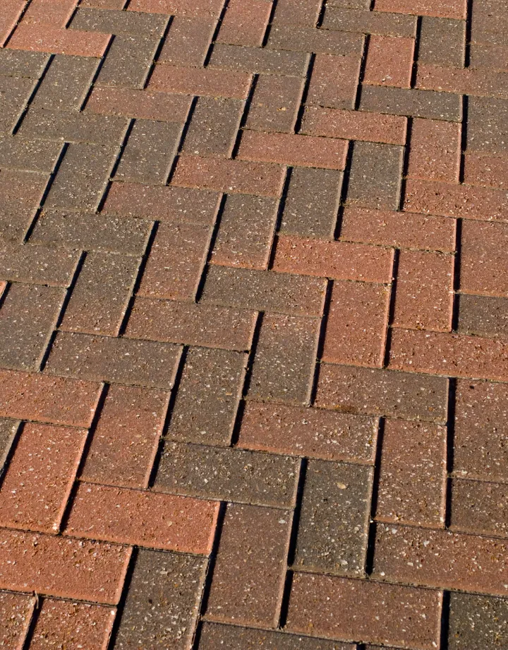 Palm Coast Pavers